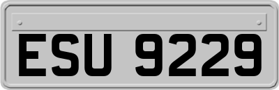 ESU9229
