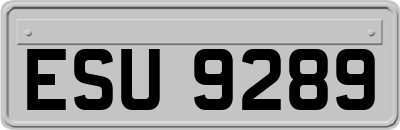 ESU9289