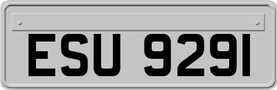 ESU9291