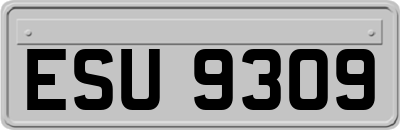 ESU9309