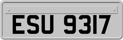 ESU9317