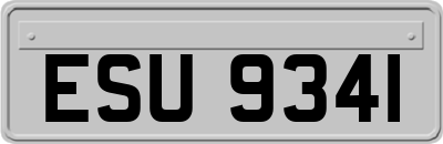 ESU9341