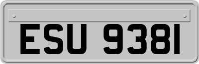 ESU9381
