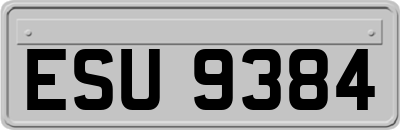 ESU9384