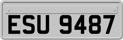 ESU9487