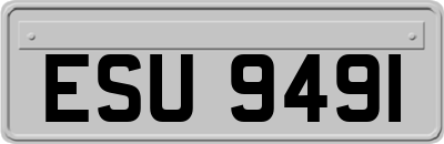 ESU9491
