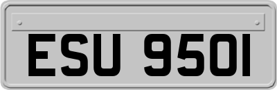 ESU9501