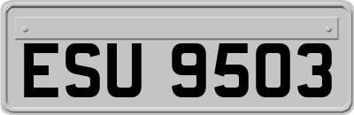 ESU9503