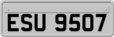 ESU9507