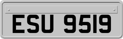 ESU9519