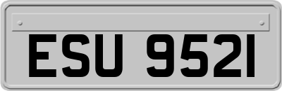 ESU9521