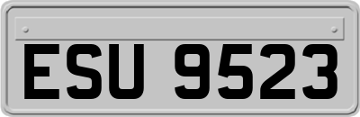 ESU9523