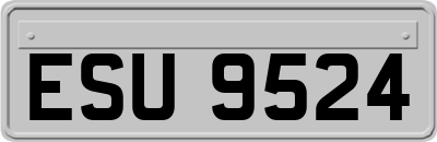 ESU9524
