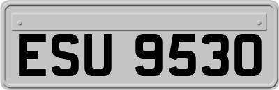 ESU9530