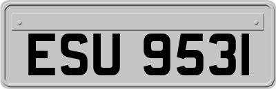 ESU9531