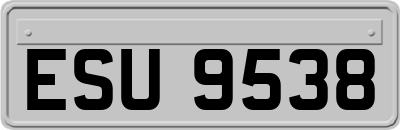 ESU9538