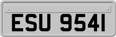 ESU9541