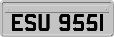 ESU9551