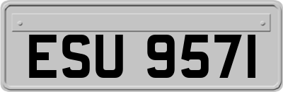 ESU9571