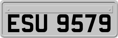 ESU9579