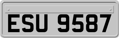 ESU9587