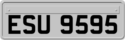 ESU9595