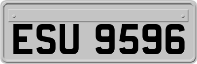 ESU9596