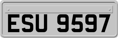 ESU9597