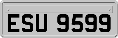 ESU9599