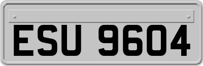 ESU9604