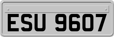 ESU9607