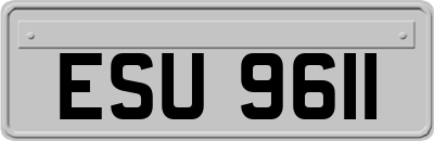 ESU9611
