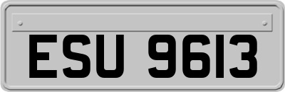 ESU9613