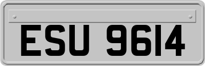 ESU9614