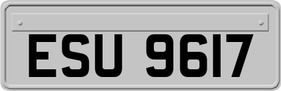 ESU9617