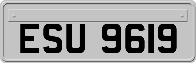 ESU9619