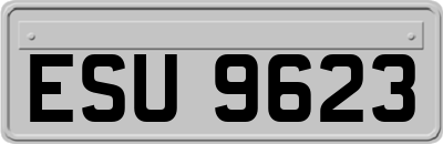 ESU9623