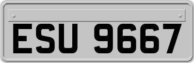 ESU9667