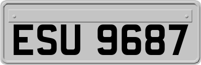 ESU9687