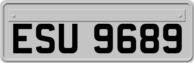 ESU9689