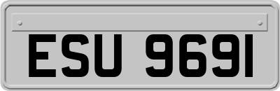 ESU9691