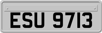 ESU9713