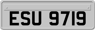 ESU9719