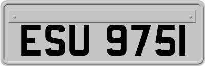 ESU9751