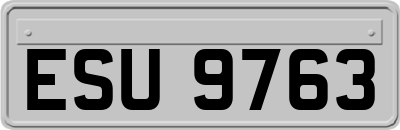 ESU9763