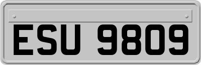 ESU9809