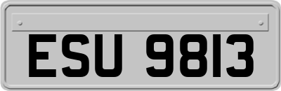 ESU9813