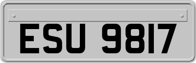 ESU9817