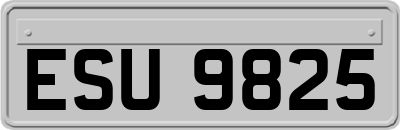 ESU9825