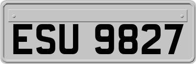 ESU9827